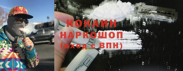 сатива Сатка