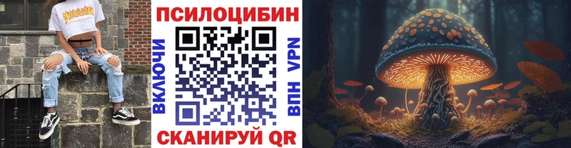 Галлюциногенные грибы Psilocybine cubensis  сколько стоит  Белая Калитва 