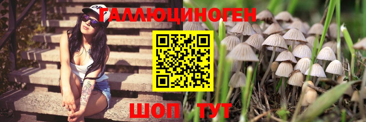 продажа наркотиков  Галлюциногенные грибы мицелий  Вход с VPN  Белая Калитва 